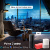 Tuya Wifi Wall Smart Socket
